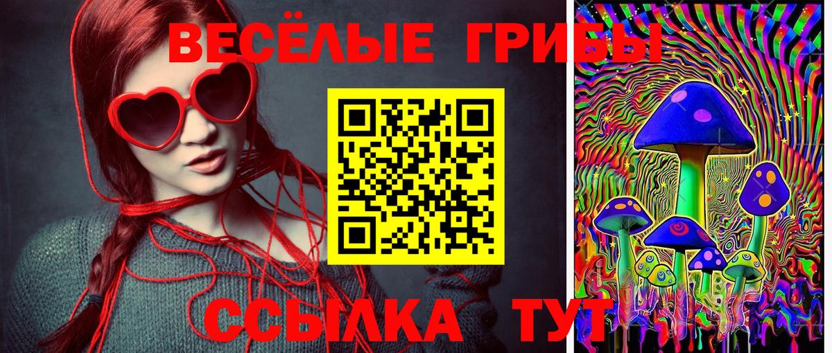 Псилоцибиновые грибы прущие грибы  Вход с VPN  где найти   Арзамас  Псилоцибиновые грибы GOLDEN TEACHER 