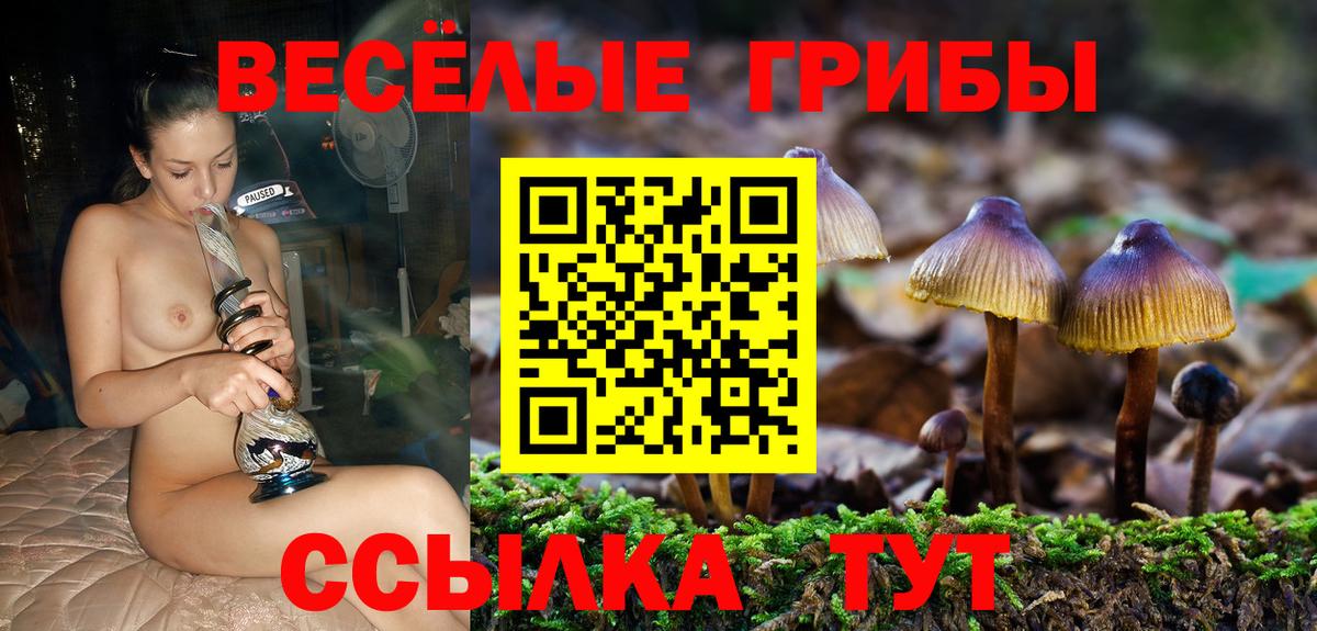 Галлюциногенные грибы прущие грибы Арзамас
